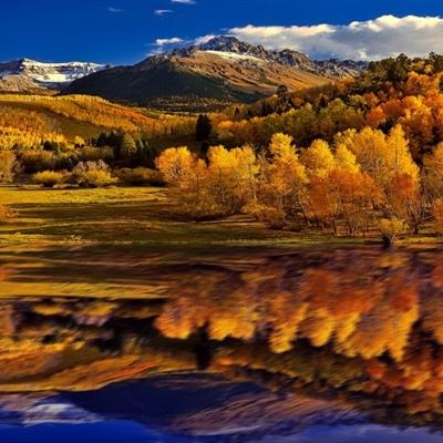 开元ky888网址进入2024入口