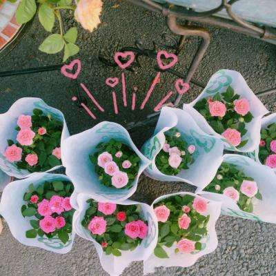 爱游戏平台app下载